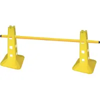 Toorx Fitness AHF-172 Trainingsstangen - 170 cm - Set van 10