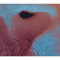 Warner Music Meddle