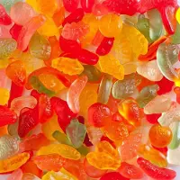 De Bron FRUIT GUMS suikervrij snoep 1 kilo