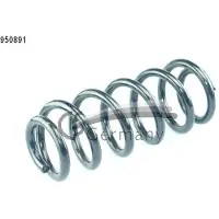 CS Germany 14.950.891 Chassisveer