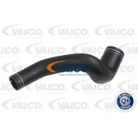 VAICO V24-0701 Laadluchtslang