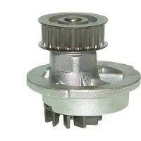 Saleri SIL PA957 Waterpomp