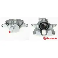 Brembo F 85 069 Remklauw
