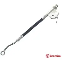 Brembo T 30 120 Remslang