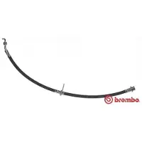 Brembo T 79 036 Remslang