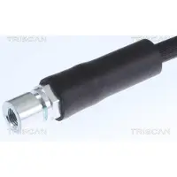 TRISCAN 8150 24119 Remslang