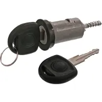 Febi Slotcilinder voor o.a. OPEL