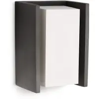 Philips Bridge Wandlamp