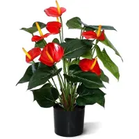 Maxifleur Kunstplanten Anthurium deluxe kunstplant 50cm - rood