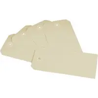 Raadhuis labels - 55x110mm - chamois - 250 stuks