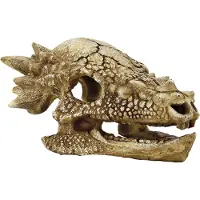 Superfish Aquarium Decoratie Schedel T-rex Beige 16,7 X 12,4 X 9 Cm