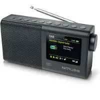 Muse Radio M117DBT