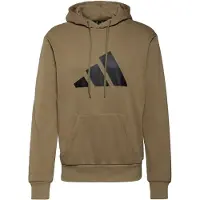Adidas Hooded sweatshirt Sportswear Future Icons Logo Graphic