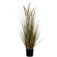 Mica Decorations Plume grass dogtail green in pot - h150xd70cm
