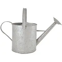 Pflanzen-Kölle Gieter 3,6 liter Esschert Design Vuurkorf
