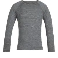 Icebreaker 200 Oasis Crew Merino T-shirt Met Lange Mouwen