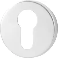 GPF bouwbeslag Cilinderrozet rond 50x6mm - RVS gepolijst