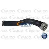 VAICO V33-0038 Laadluchtslang
