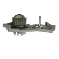 Saleri SIL PA970AS Waterpomp
