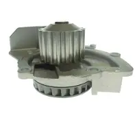 Saleri SIL PA1501 Waterpomp