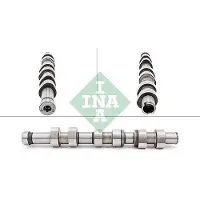 INA 428 0171 10 Nokkenas