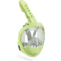 Sea Turtle Full Face Mask Junior