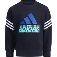 Adidas Sweatshirt kind Graphic Crewneck
