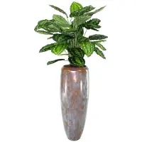 Maxifleur Kunstplanten Calathea Rosea Picta 80cm