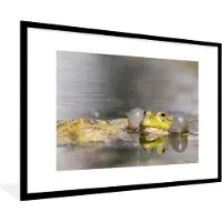 PosterMonkey Fotolijst incl. Poster - Close-up van een kwakende kikker - 120x80 cm - Posterlijst
