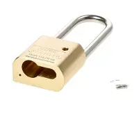 Burg wachter 116 PC 50 Niro Hangslot 51.3 mm Messing Hangslot voor profielcilinder
