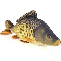 Gaby The Common Carp Giant Kussen