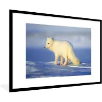 PosterMonkey Fotolijst incl. Poster - Poolvos - Winter - Zon - 90x60 cm - Posterlijst