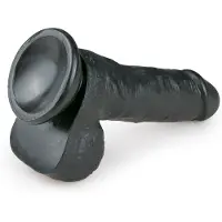 Easytoys Dildo Collection - Realistische Dildo met Balzak - Inclusief Zuignap - Dildo's - Dildo met Zuignap - 17,5 cm - Zwart