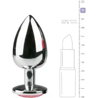 Easytoys Anal Collection Metalen buttplug Zilver/Roze - L