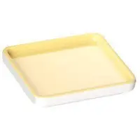 Pantone Serveerschaal - S - Vierkant - 8 x 8 x 1,3 cm - Sunshine 12-0727 - Geel