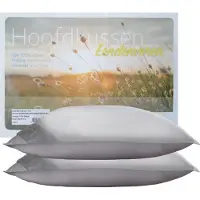ISleep Hoofdkussen Set (2 Stuks) - Eendenveren - Stevig - 1700 gram - 60x70 cm - Wit