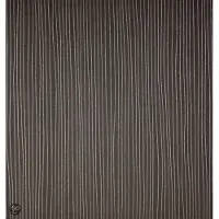 Dutch Wallcoverings Streepje - Zwart/zilver
