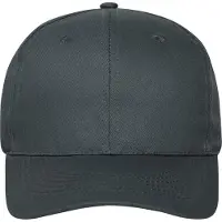 Myrtle beach 6 Paneel Organic Cotton Cap (Grafiet)