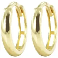 New Bling 9NBSAM-G190143 Gouden Oorringen - Dames - Glad - Scharnier - 11 x 2 mm - 14 Karaat - Goud