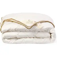 Tesselaer Wollen Dekbed - 4 Seizoenen Dekbed 240x220cm - Zuivere Texelse Scheerwol - Wollen Dekbed 240x220 - Lits Jumeaux Extra Lang - Dekbedden