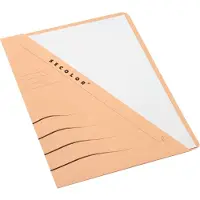 Jalema Secolor insteekmap chamois A4 (10 stuks)
