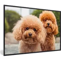 PosterMonkey Fotolijst incl. Poster - Een close-up van de bruine puppy's - 60x40 cm - Posterlijst