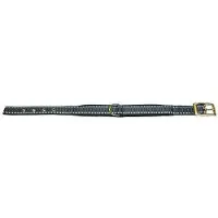 Kerbl Halsband Dakota Petrol 31-39cm