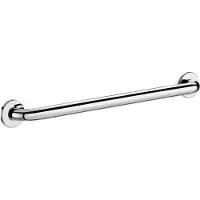 Delabie Handgreep aangepast sanitair 50506P2