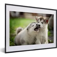 PosterMonkey Fotolijst incl. Poster - Puppy's samen aan het spelen - 40x30 cm - Posterlijst