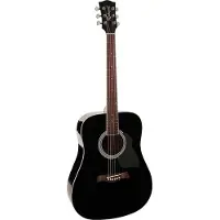 Richwood Akoestische gitaar Artist Series Dreadnought RD-12-BK