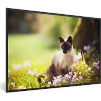 PosterMonkey Fotolijst incl. Poster - Siamese kat tussen de roze bloemen - 90x60 cm - Posterlijst