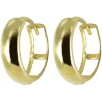 New Bling 9NBSAM-G190626 Gouden Oorringen - Dames - Glad - 12 x 3,5 mm - Scharnier - 14 Karaat - Goud