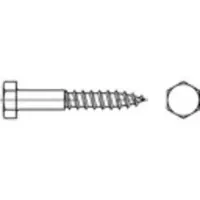Toolcraft 1061173 Zeskantbout 5 mm 40 mm Buitenzeskant DIN 571 RVS A2 100 stuk(s)