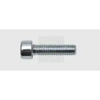 Swg 4009146067522 Inbusschroeven 6 mm 10 mm Binnenzeskant (inbus) Staal Verzinkt 100 stuk(s)